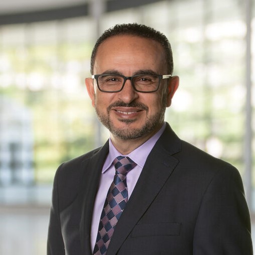 Khaled Hassanein Dean, Faculty of Business